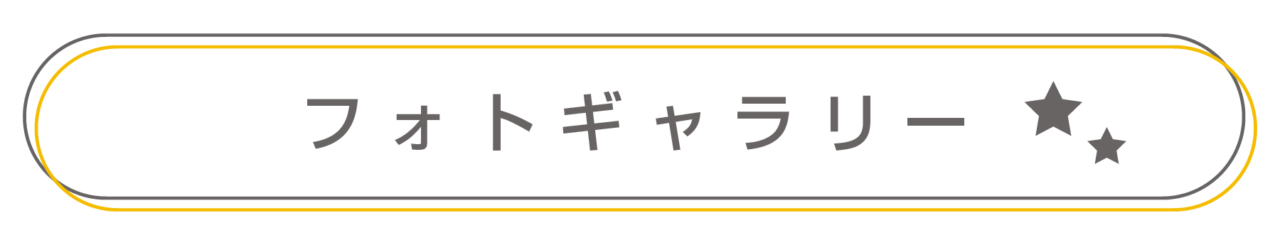 フォトギャラリー