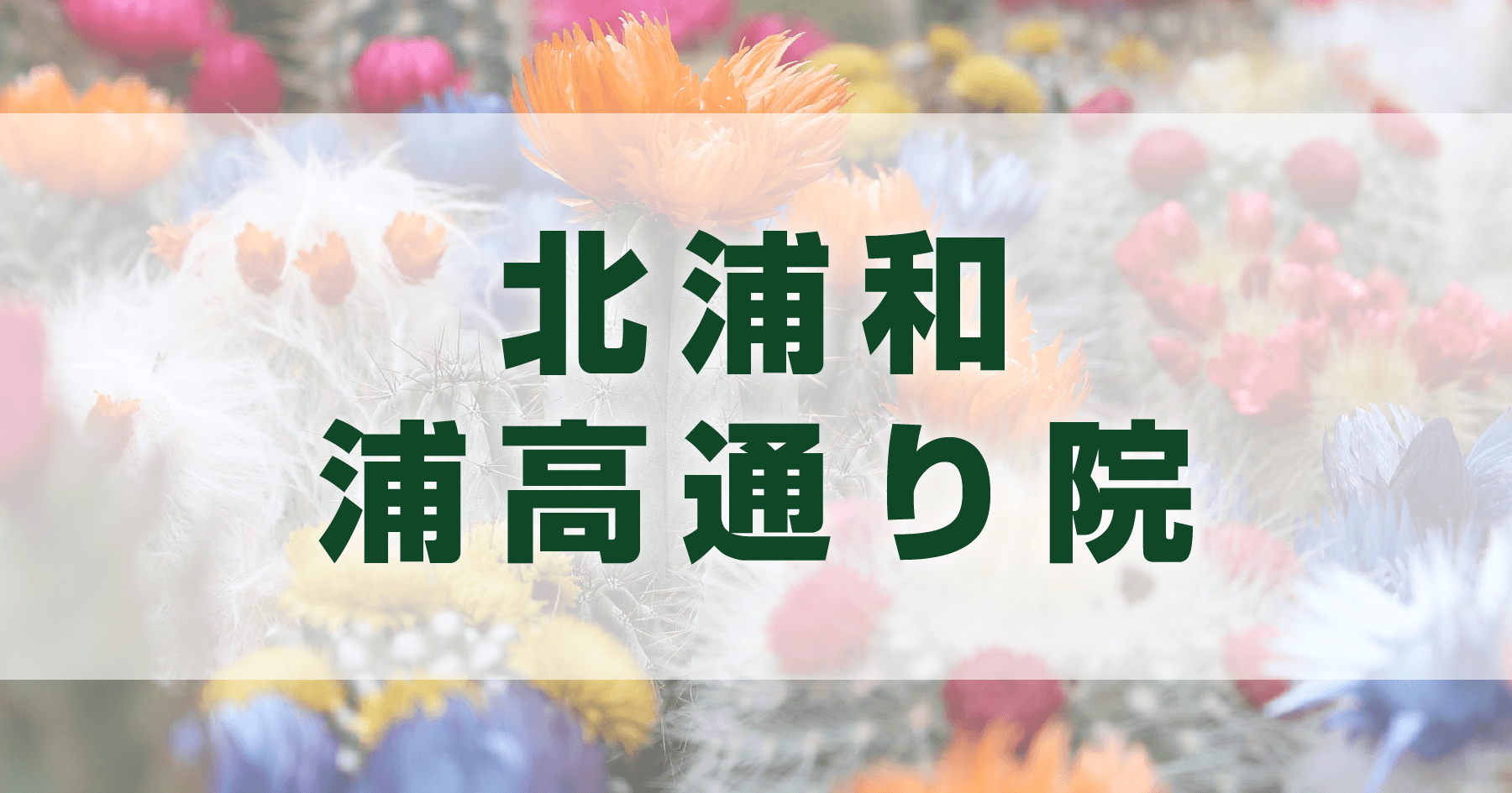 さぼてん接骨院はりきゅう院北浦和浦高通り院